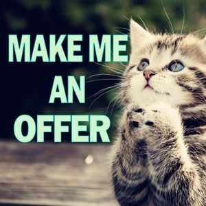MAKE ME AN OFFER - REASONABLE/FAIR ONE